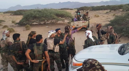 ما علاقة اولاد هادي باشتباكات مليشيا الشرعية الاخوانية في شقرة؟
