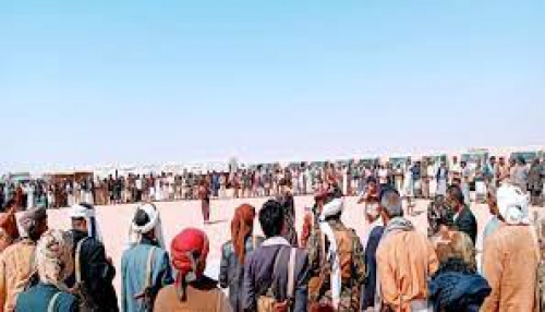 قبائل حمير والعوالق تصل مخيم عرماء لمساندة بلعبيد لطرد القوات الإخوانية