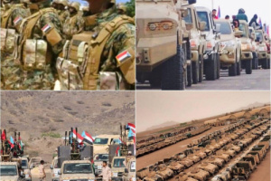 الجنوب العربي.. شريك موثوق في تحقيق الاستقرار