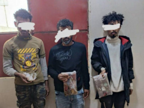 القبض على متهمين بحيازة الحشيش في طريقهم إلى عدن