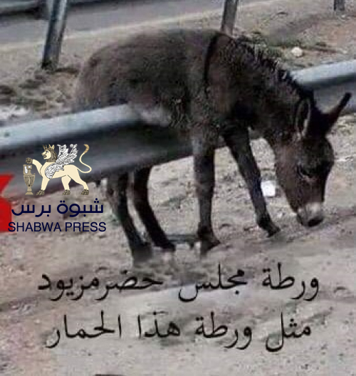 لا اجماع حضرمي على المكون الجديد ومن يصر عليه اخراج أنصاره المحدودين إلى الشارع