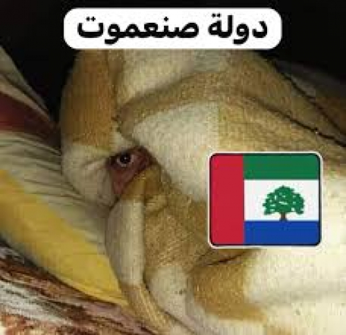 حضرموت تتحول من صنعموت إلى حوثموت.. شبابها يتدربون في عند الحوثي