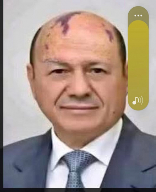 العليمي سينقل الرئاسة إلى المخا والحكومة إلى مأرب.. وتجميع قوات دولية للزحف على عدن