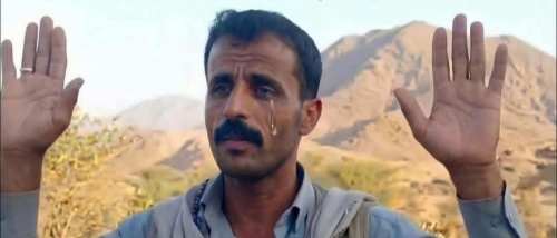 هل تريد السلطة المحلية لشبوة أن تبقى ما دون الدولة؟