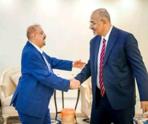 زيارة البركاني: بعد تحرير حضرموت العليمي يفاوض على البقاء في المشهد لا على صنع القرار