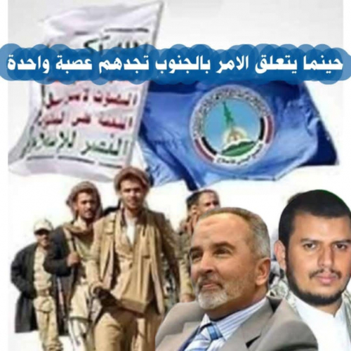 كفانا دفن الرؤوس في الرمال.. الوالي يحدد الموقف من الحوثي واليمن بوضوح سياسي