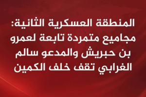 غدر في الهضبة وحسم في وادي نحب.. النخبة الحضرمية تفشل كمين بن حبريش وتسحق معسكر تمرده