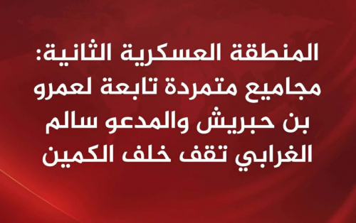 غدر في الهضبة وحسم في وادي نحب.. النخبة الحضرمية تفشل كمين بن حبريش وتسحق معسكر تمرده