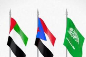 سياسي جنوبي: خطوة خطوة سيكتب الجنوبيون مع أشقائهم في التحالف العربي تاريخًا جديدًا للمنطقة