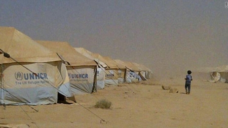 اللاجئ العربي.. محنة النزوح وقيود القانون