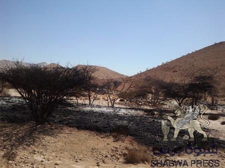 نشطاءسياسيون  بشبوة يحملون السلطة والجيش مسؤولية تفجيرأنابيب النفط وخسائر شركة الغاز300 مليون دولار.