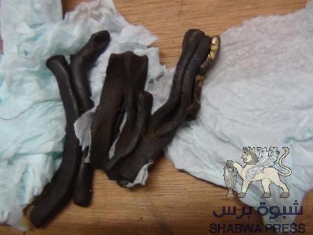 شباب اللجان الشعبية في المنصورة محافظة عدن  يلقون القبض على شابين يروجان للحشيش