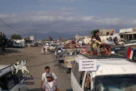 يا عدن لا تحزني شبوة وأبين قادمين ... هتافات أبناء أبين وشبوة في زنجبار (صور)