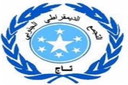 تاج الجنوب العربي يدين بيان مجلس الأمن ويدعو إلى الزحف الكبير الى عدن في يوم 21فبراير2013م