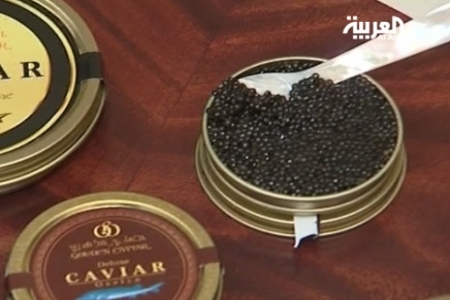 كافيار في معرض بالرياض يصل سعره لمليون ريال للكيلو