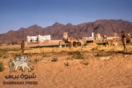 قبيلة آل صالح ببيحان تقفل المجمع الحكومي للمطالبة برحيل المدير العام