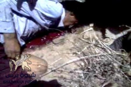 عاجل من الضالع: استشهاد الناشط ‘‘عبدالله السروري‘‘ برصاص حراسة مبنى المحافظة