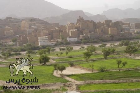 بيان من اللجنة التحضيرية لملتقى أبناء شبوه في الخارج