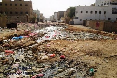 محافظ شبوة يستبق مبادرة حراكية لمكافحة البعوض ويأمر بتجهيز سيارات للرش
