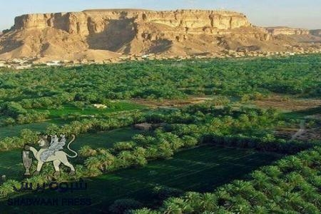 شبوة برس : تتعرف على اسم العسكري قتيل القطن وحقيقة اطلاق النار مساء اليوم