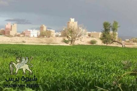 أحد أبناء وصاب يقتل قريبه ويصيب آخر في سوق الجولات بمدينة عتق - شبوة