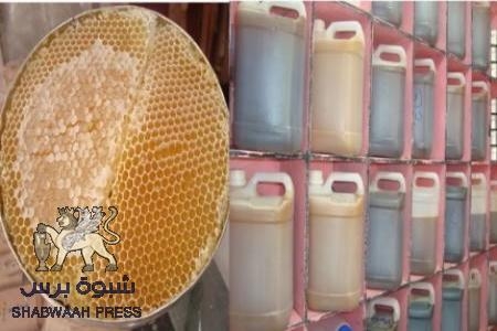 النحالون في شبوة وحضرموت وعدن ولحج يتلقون دورة تدريبية في عدن
