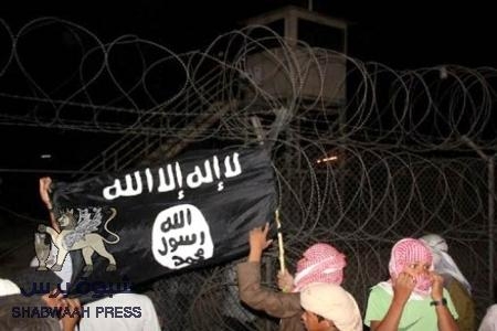 تحليل: هل يسعى متشددون لإمارة إسلامية بسيناء؟