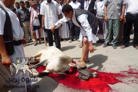 صحيفة البيان الاماراتية .. حوار اليمن يتهاوى أمام معضلة الجنوب وفوضى الأمن