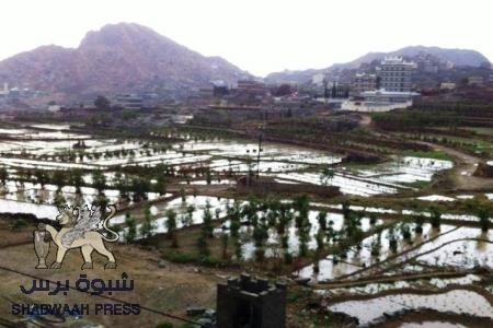 باغوزة من حد يافع : دقة التنظيم بنت دولة اسلامية وما احوج الجنوب للتنظيم والاخاء