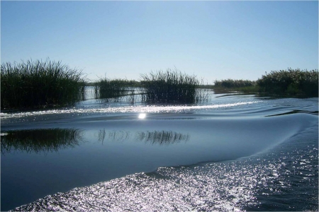 تقرير :  ‘‘جنات عدن‘‘ بعد سقوط صدام