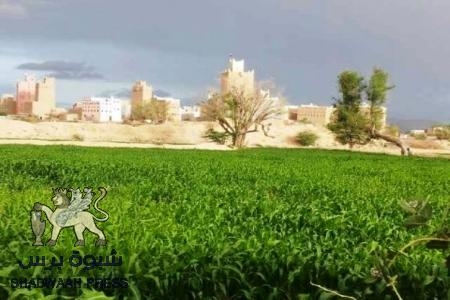 ‘‘ شبوة برس‘‘ يؤكد عدم تعرض أي من مديريات محافظة شبوة لغارة جوية هذا اليوم