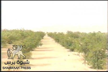 قبائل الصيعر تستولي على نقطة ركبان في مديرية ‘‘زمخ ومنوخ‘‘ الصحراوية