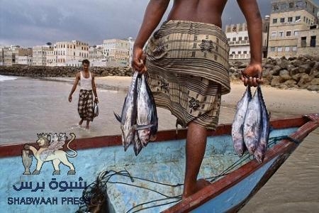 تقرير خاص : البحر الحضرمي بين النهب والقتل والتلويث , وحقائق أخرى ! ( الجزء الأول)