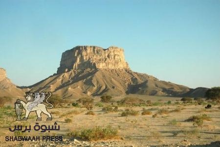 قبائل الصيعر يطالبون صنعاء بتطبيق إتفاقيتهم السابقة مع بريطانيا بشأن عوايد أرضهم