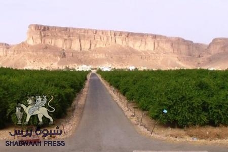 آل الزوع في القطن يستولون على مزرعة ‘‘ الدولة ـ بقشان‘‘ في القطن