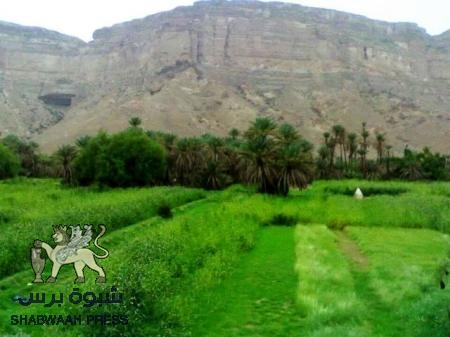 في هجوم غامض لم تعرف أسبابه : مقتل جندي واصابة اخر في القطن