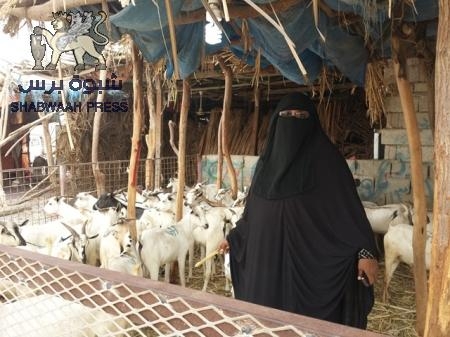 زليخة .. حكاية كفاح أمرأه أجبرتها الحرب على أن تترك الطب لتصبح من أنجح سيدات الأعمال بحضرموت