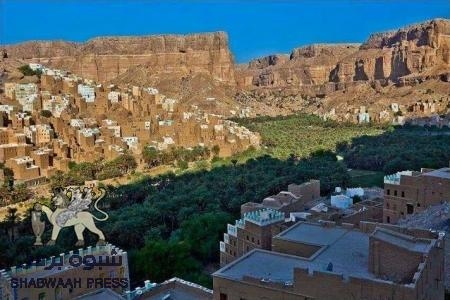 أكثر من (3) مليار ريال إيرادات نصف عام من مصلحة ضرائب وادي حضرموت من أصل 202 مليار تورد سنويا