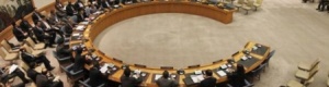 مجلس الأمن يعتزم ملاحقة المقاتلين الأجانب