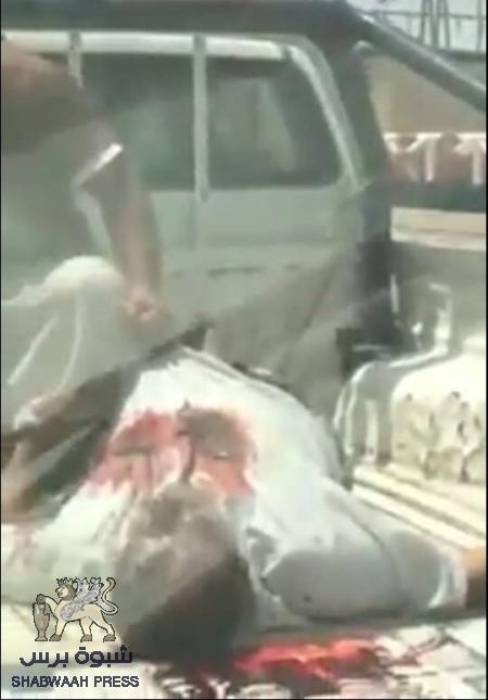 ‘‘ شبوه برس‘‘ ينشر فيديو للقتيل العقيد محمد القحم لحظة اسعافه وصور الشهيد مولى الدويله