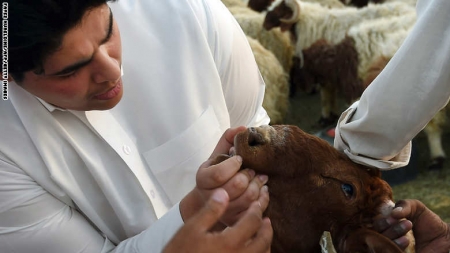 مدينتان عربيتان بين أبرز مواطن أصحاب المليارات حول العالم