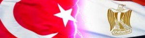 دعوات مصرية إلى نزع صفة عضو مراقب في الجامعة العربية عن تركيا