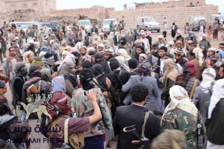 نجاح وساطة قبيلة في اقناع انصار الشريعة بالبيضاء بالافراج عن نائب قائد محور البيضاء ومرافقيه