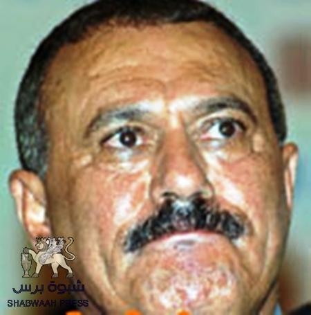 صالح : يصف ‘‘ هادي‘‘ بالغباء , ويرشح مهدي مقولة أو ابنه أحمد لشغل منصب وزير الدفاع