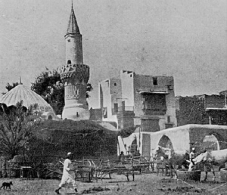 تهامة الشافعية الصوفية .. لن تقاتل نيابة عن الإخوان لأن معاولهم لا تزال تهشمها.