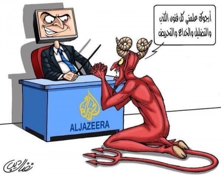 وزير خارجية الإمارات : ‘‘ قناة الجزيرة ‘‘ اختزلت سمعتها في 10 متظاهرين إخوان