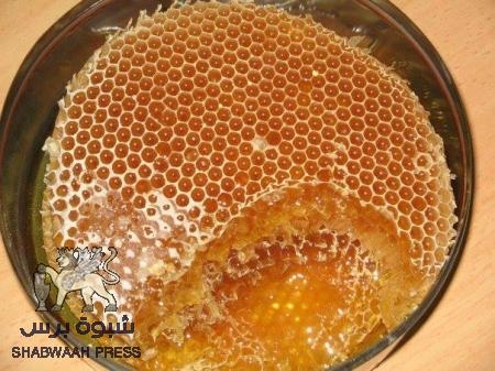 إرتفاع أسعار العسل الحضرمي بفعل زيادة الطلب