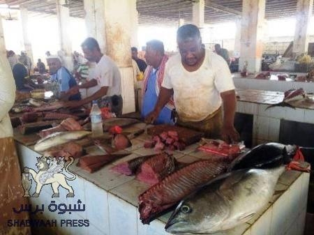 بعد إنذارهم بالخروج من السوق مصير باعة صيد الاسماك في مدينة الشحر إلى اين..؟.