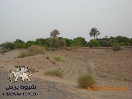 على الحسيني سلام !!!