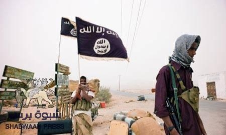 تنظيم أنصار الشريعة يواصل تحركاته بحضرموت وبعناصر عربية.